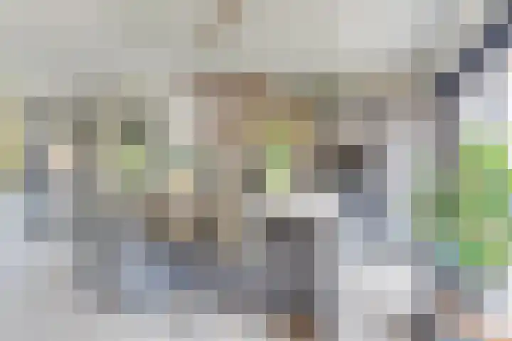 Binnenplaats 70 Blokker foto 2