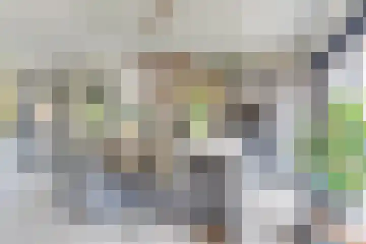 Binnenplaats 70 Blokker thumbnail 20