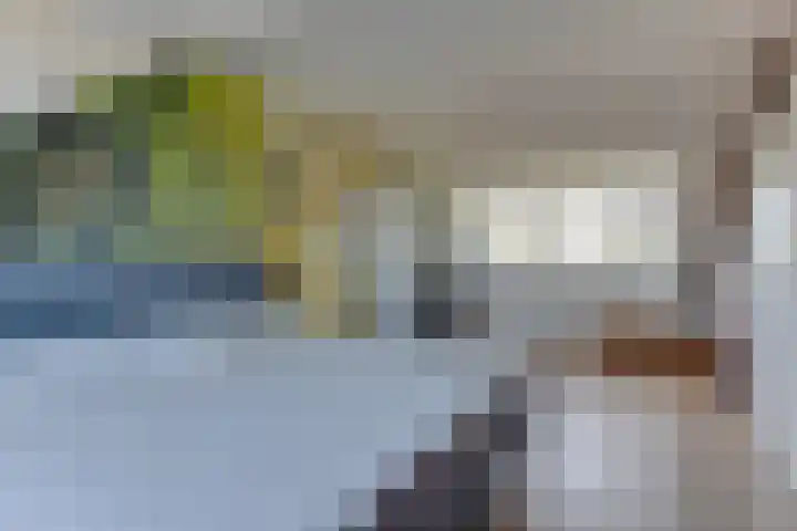 Binnenplaats 70 Blokker thumbnail 40