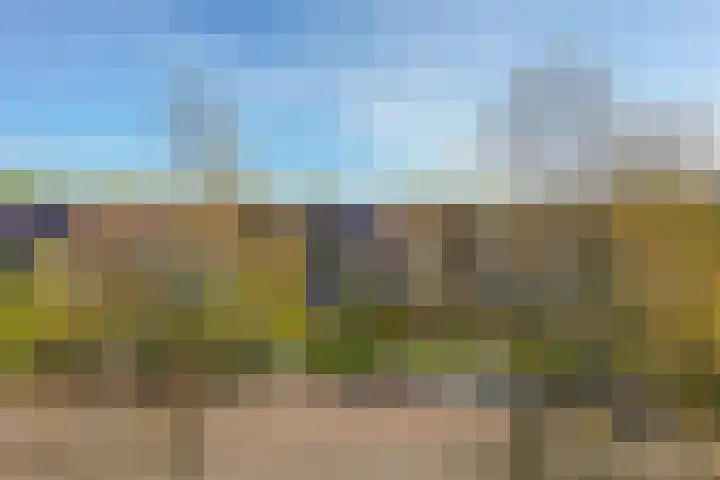 Binnenplaats 70 Blokker thumbnail 7