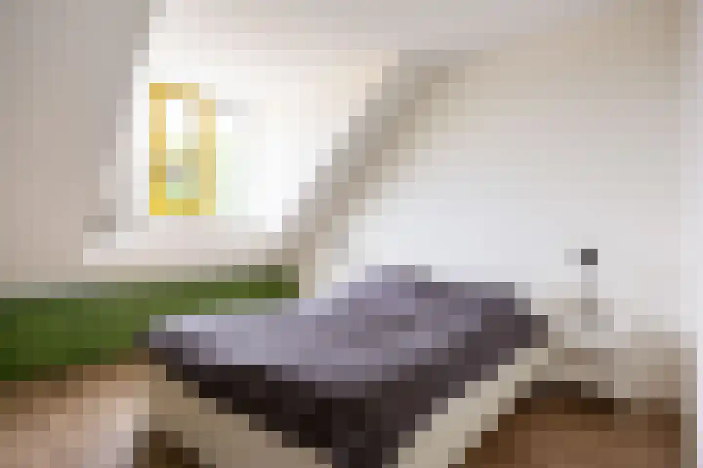 Binnenplein 3 Een thumbnail 23