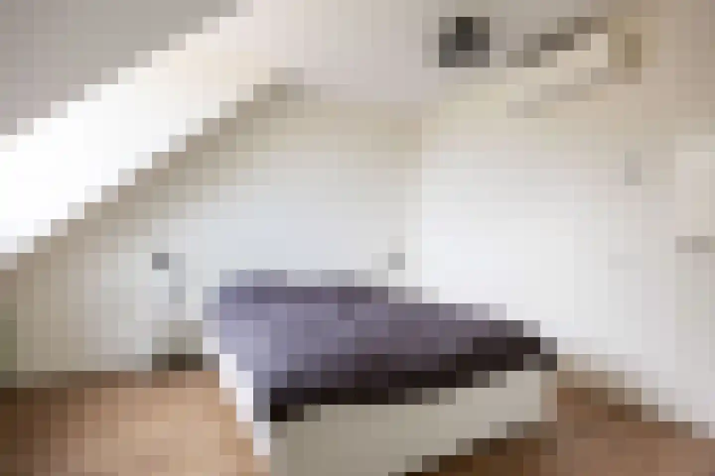 Binnenplein 3 Een thumbnail 24