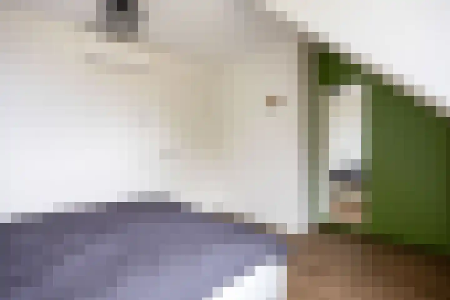 Binnenplein 3 Een thumbnail 25