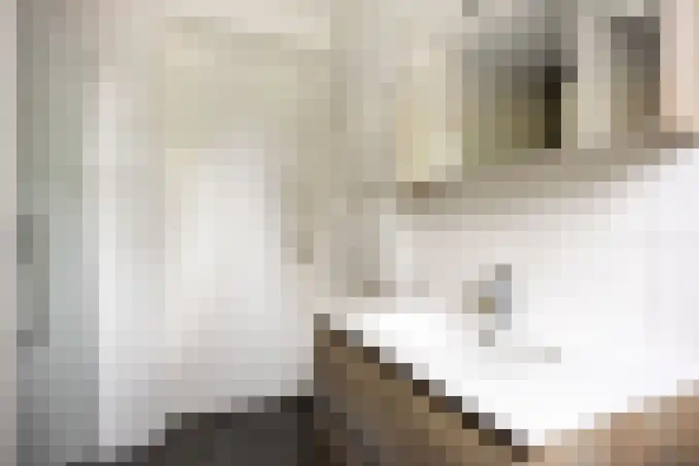 Binnenplein 3 Een thumbnail 31