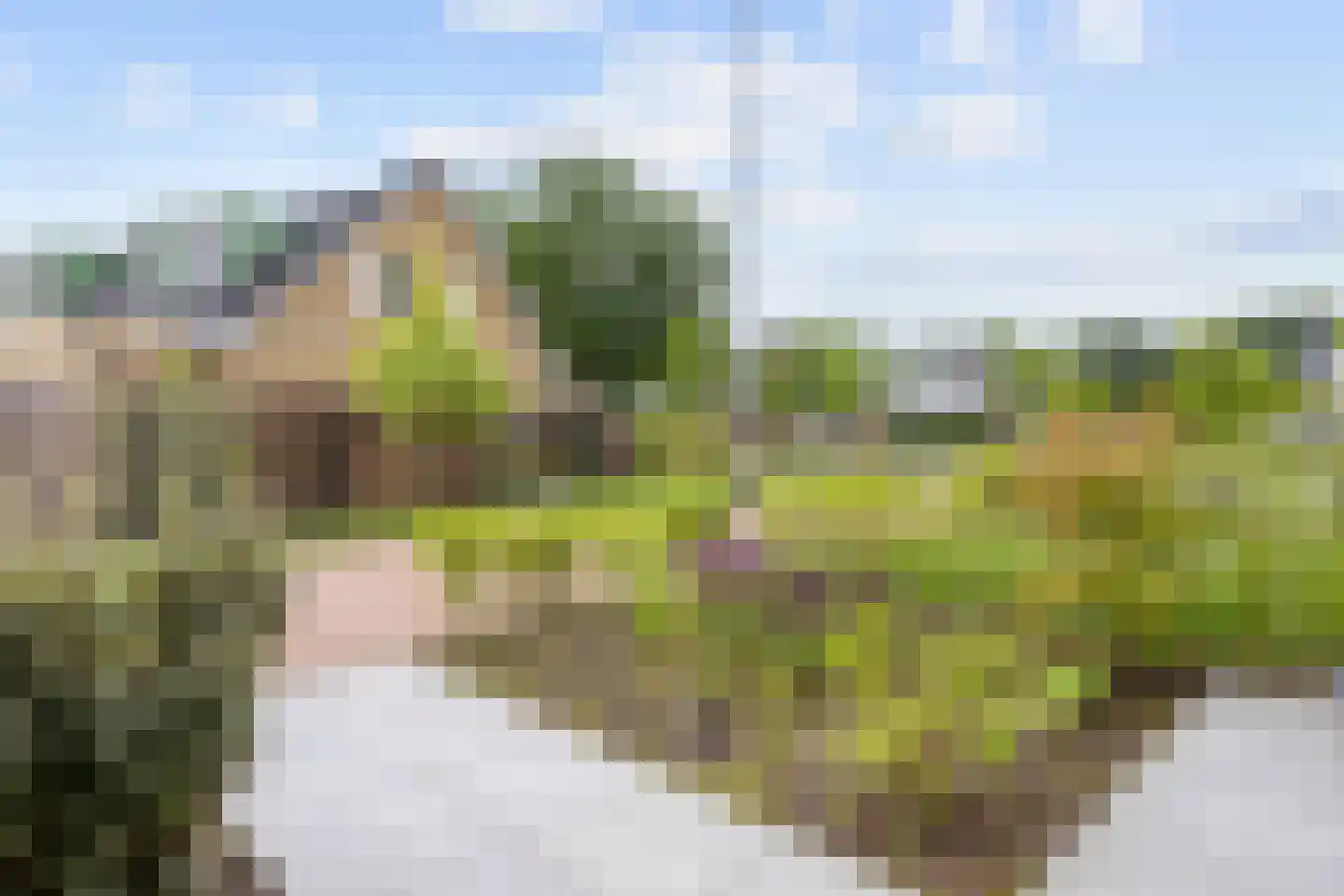 Binnenplein 3 Een thumbnail 39