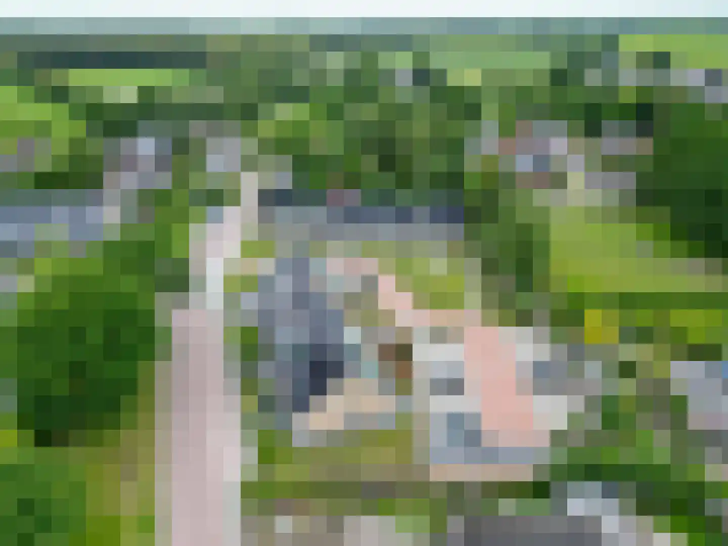 Binnenplein 3 Een thumbnail 49