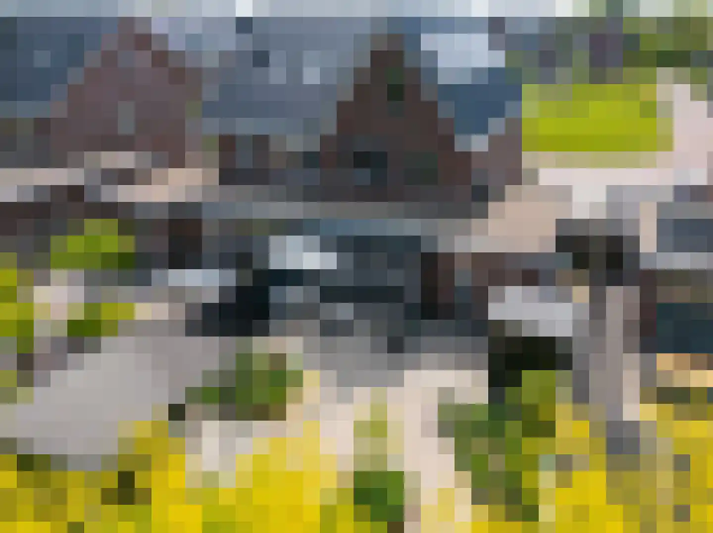 Binnenpolder 18 Zwaag thumbnail 5