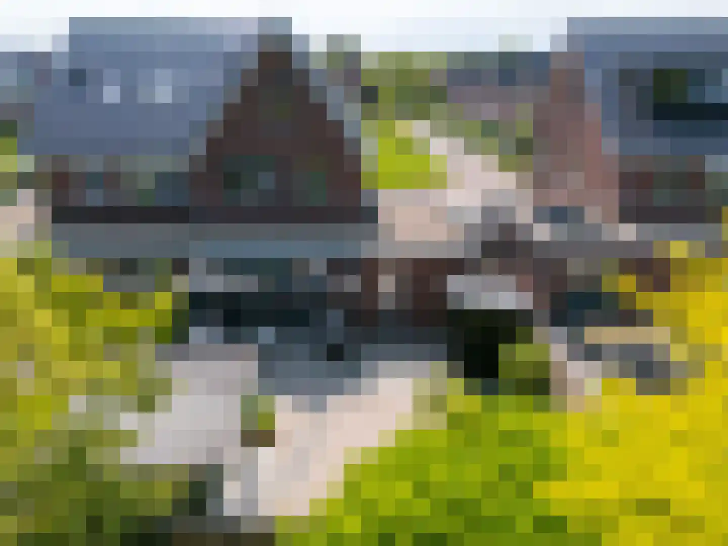 Binnenpolder 18 Zwaag thumbnail 6