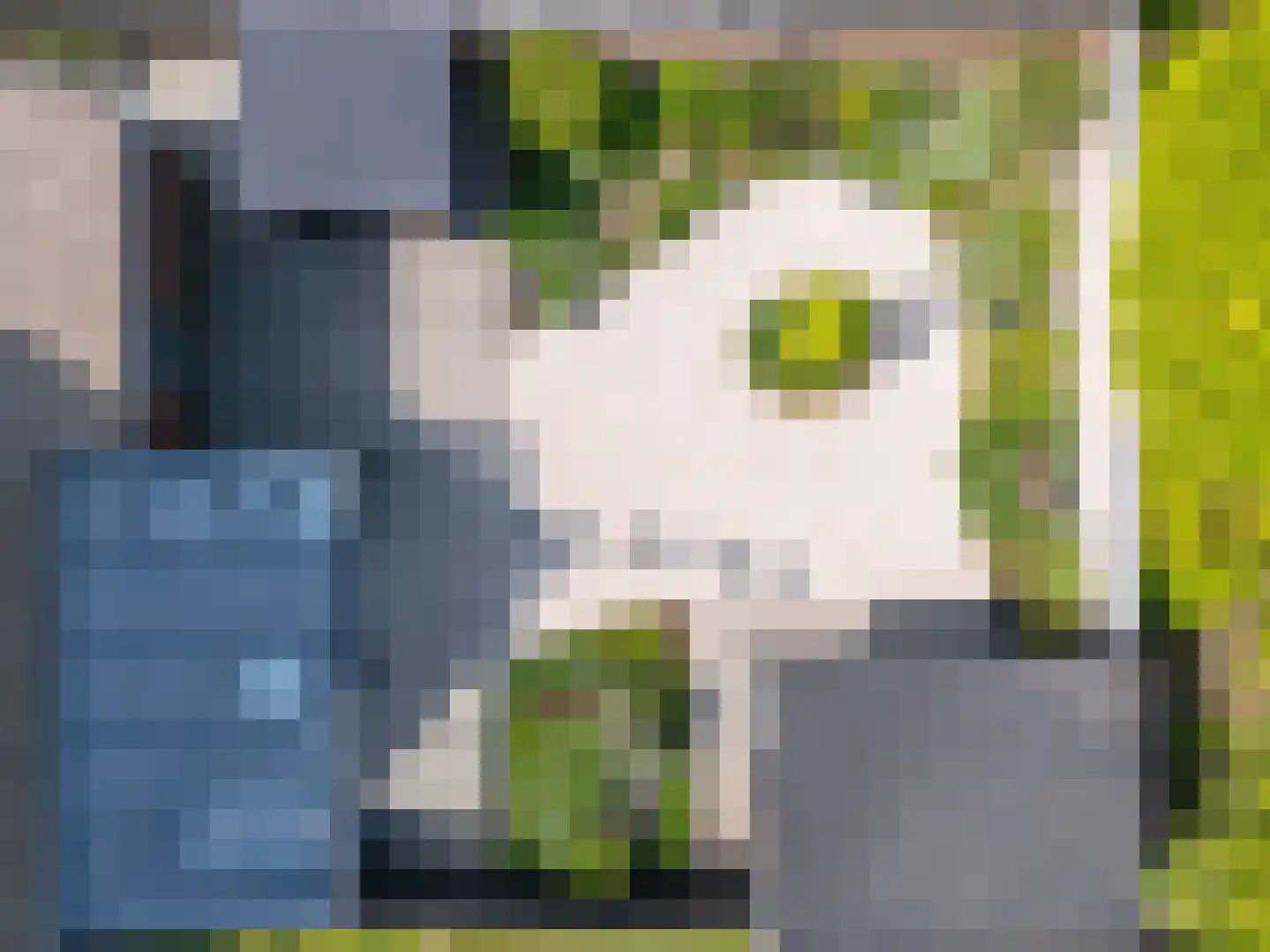Binnenpolder 18 Zwaag thumbnail 8