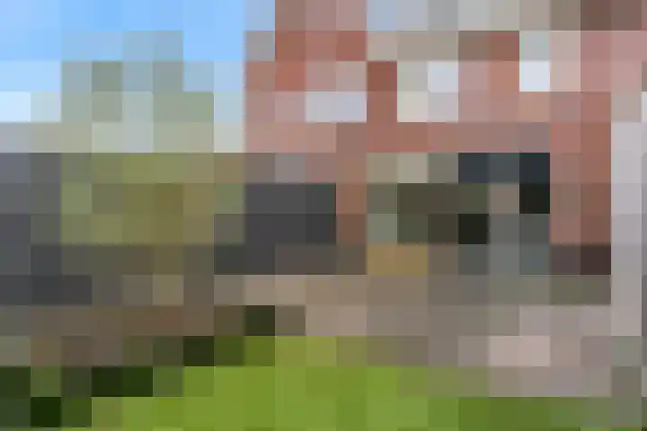 Binnenpolder 27 Zwaag thumbnail 24