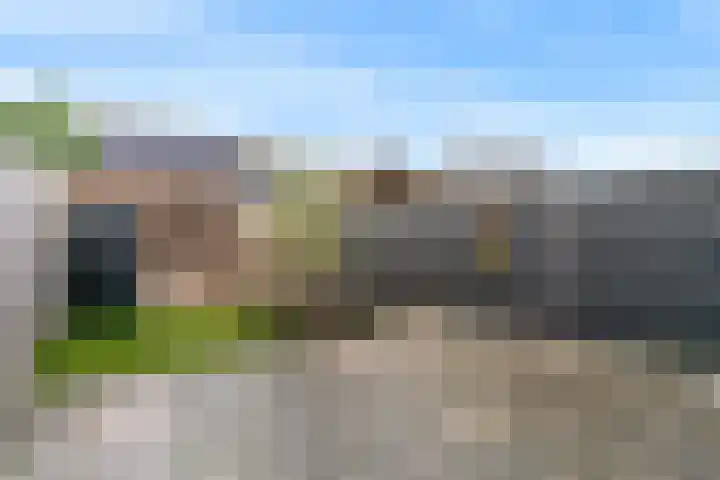 Binnenpolder 27 Zwaag thumbnail 25
