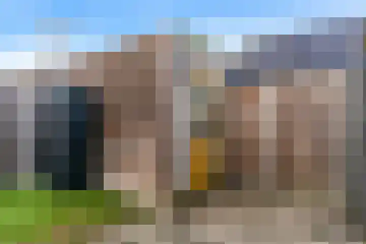 Binnenpolder 27 Zwaag thumbnail 26