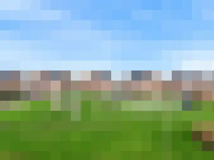 Binnenpolder 27 Zwaag thumbnail 30