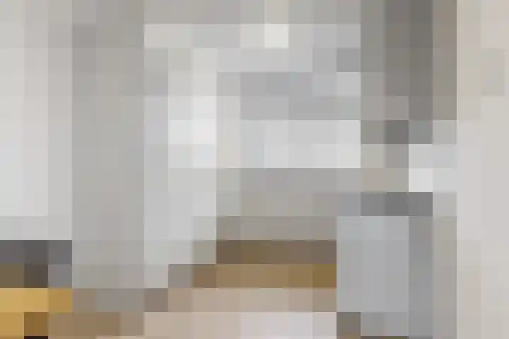 Binnenpolder 27 Zwaag thumbnail 6