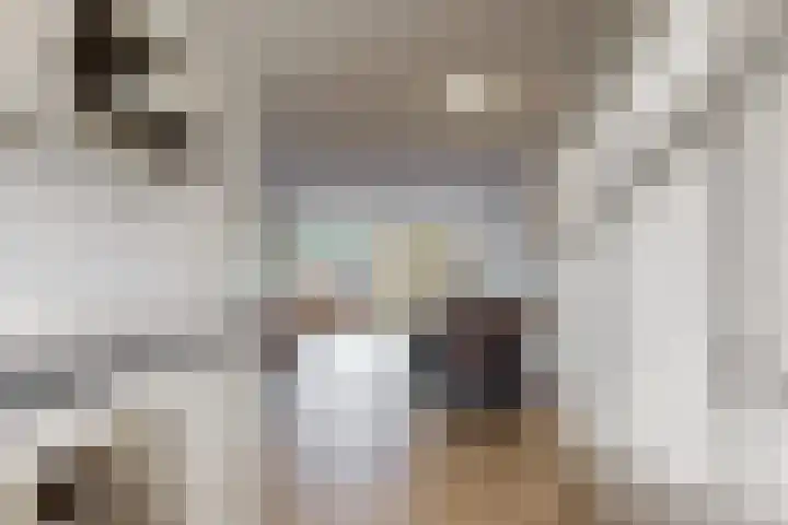 Binnenpolder 27 Zwaag thumbnail 8