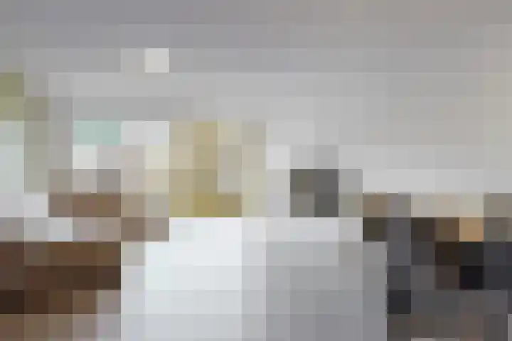 Binnenpolder 27 Zwaag thumbnail 9