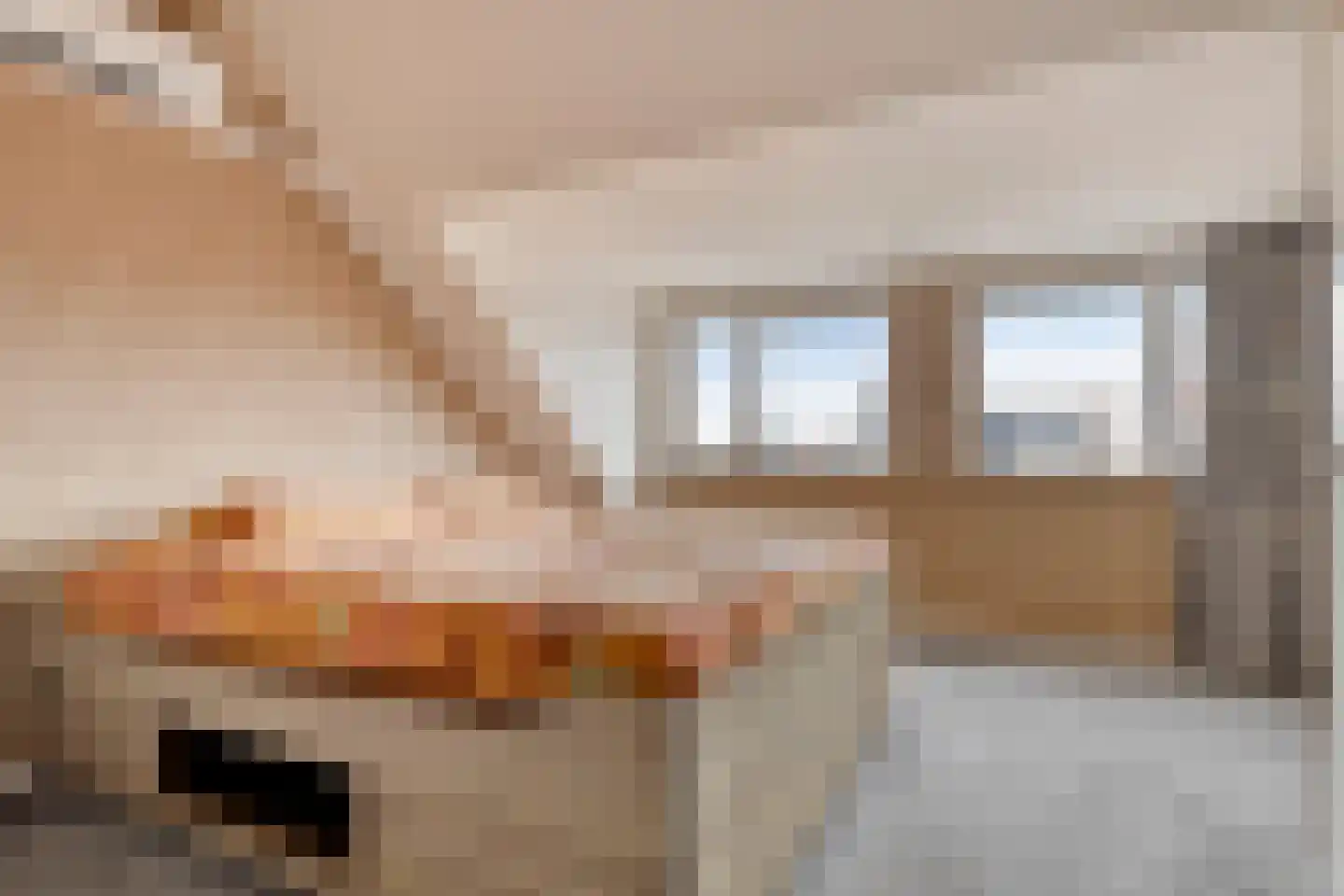 Binnenpolder 30 Zwaag thumbnail 21