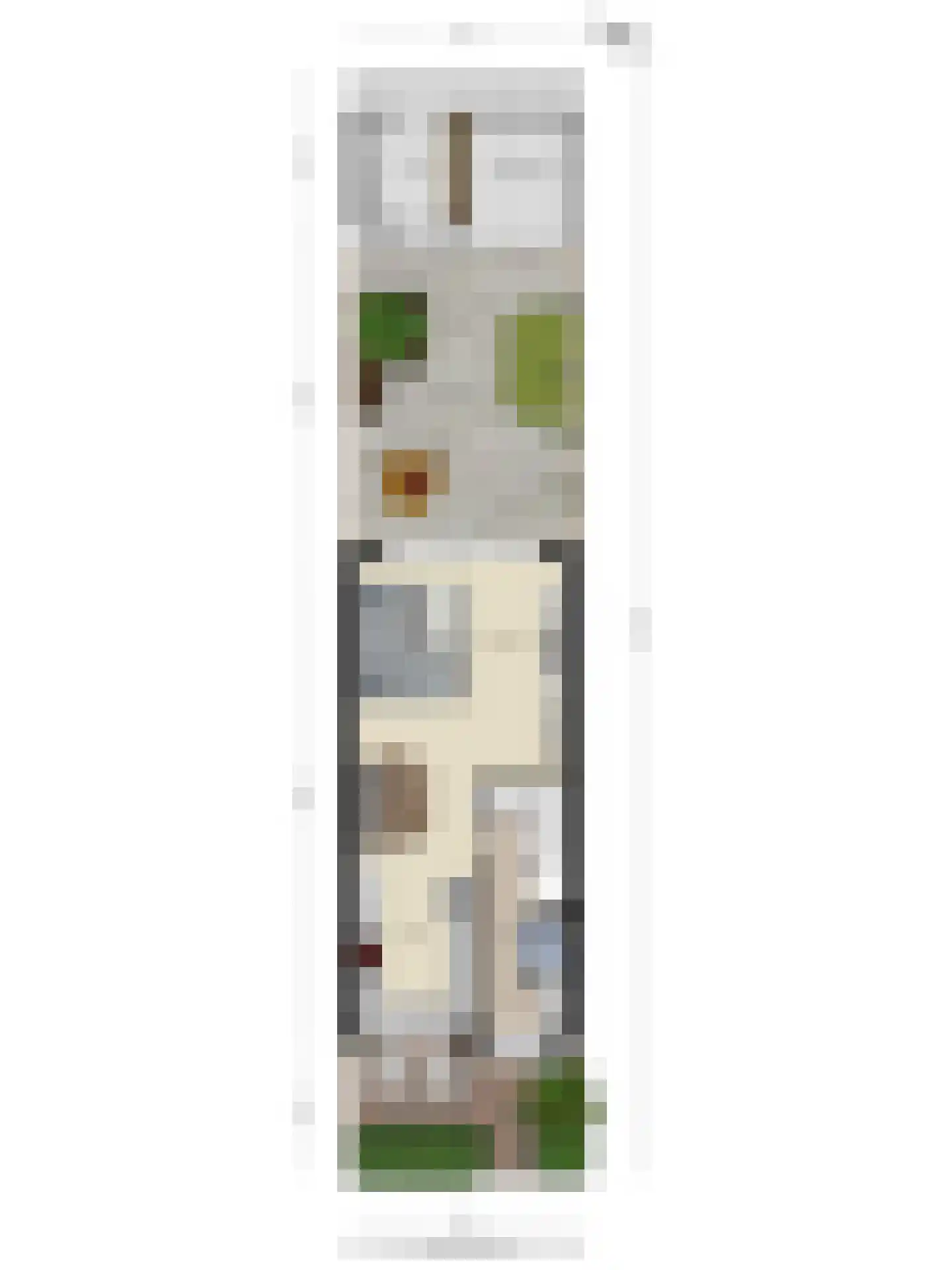 Binnenpolder 30 Zwaag thumbnail 40