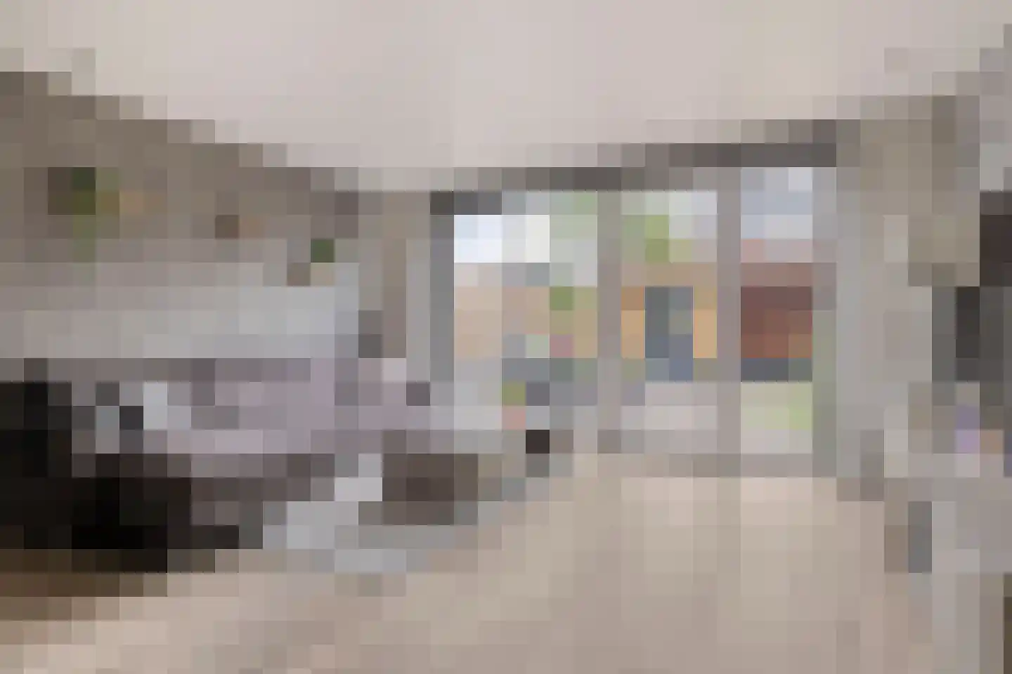 Binnenpolder 30 Zwaag thumbnail 7