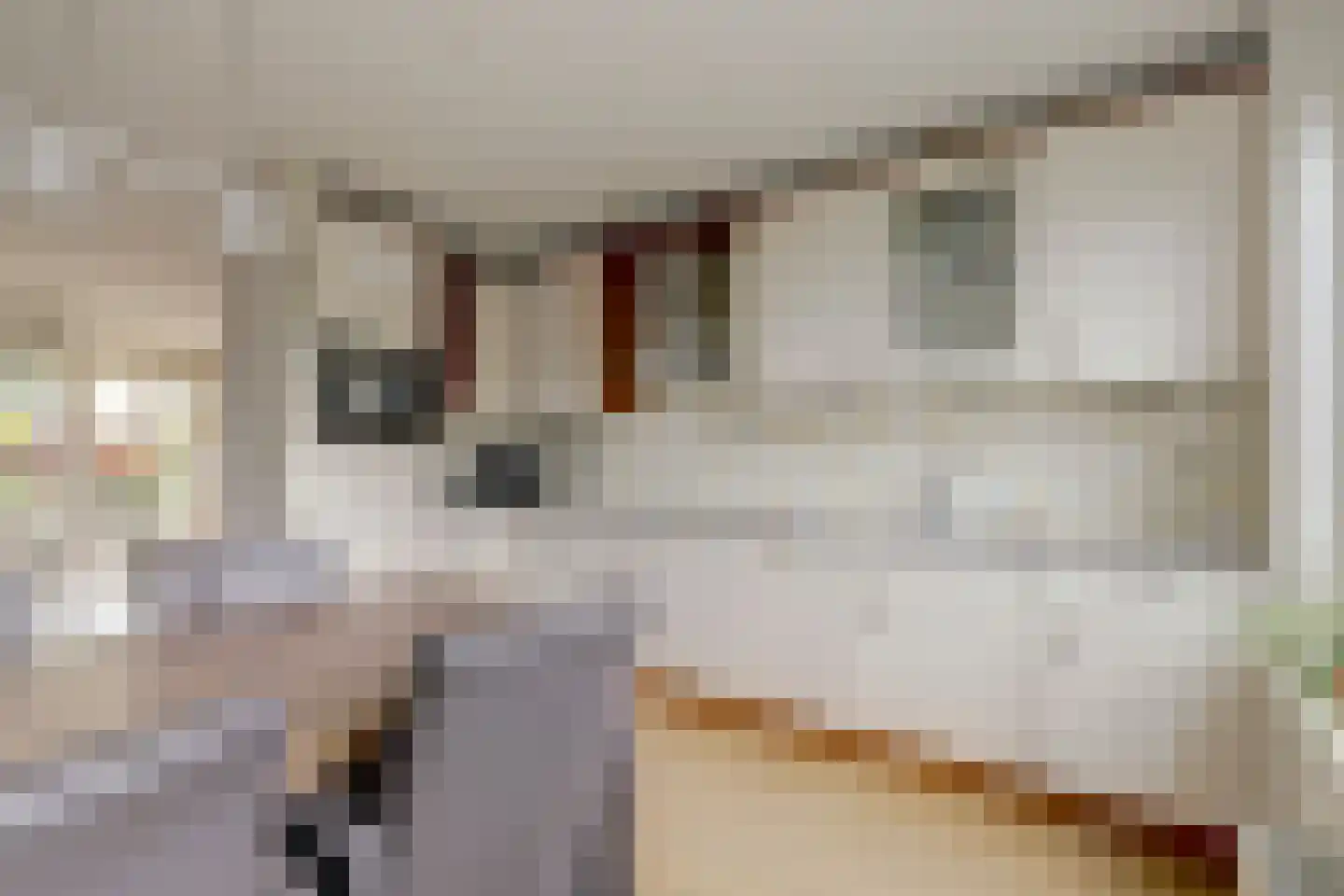 Binnenpolderweg 14 Gouda thumbnail 14