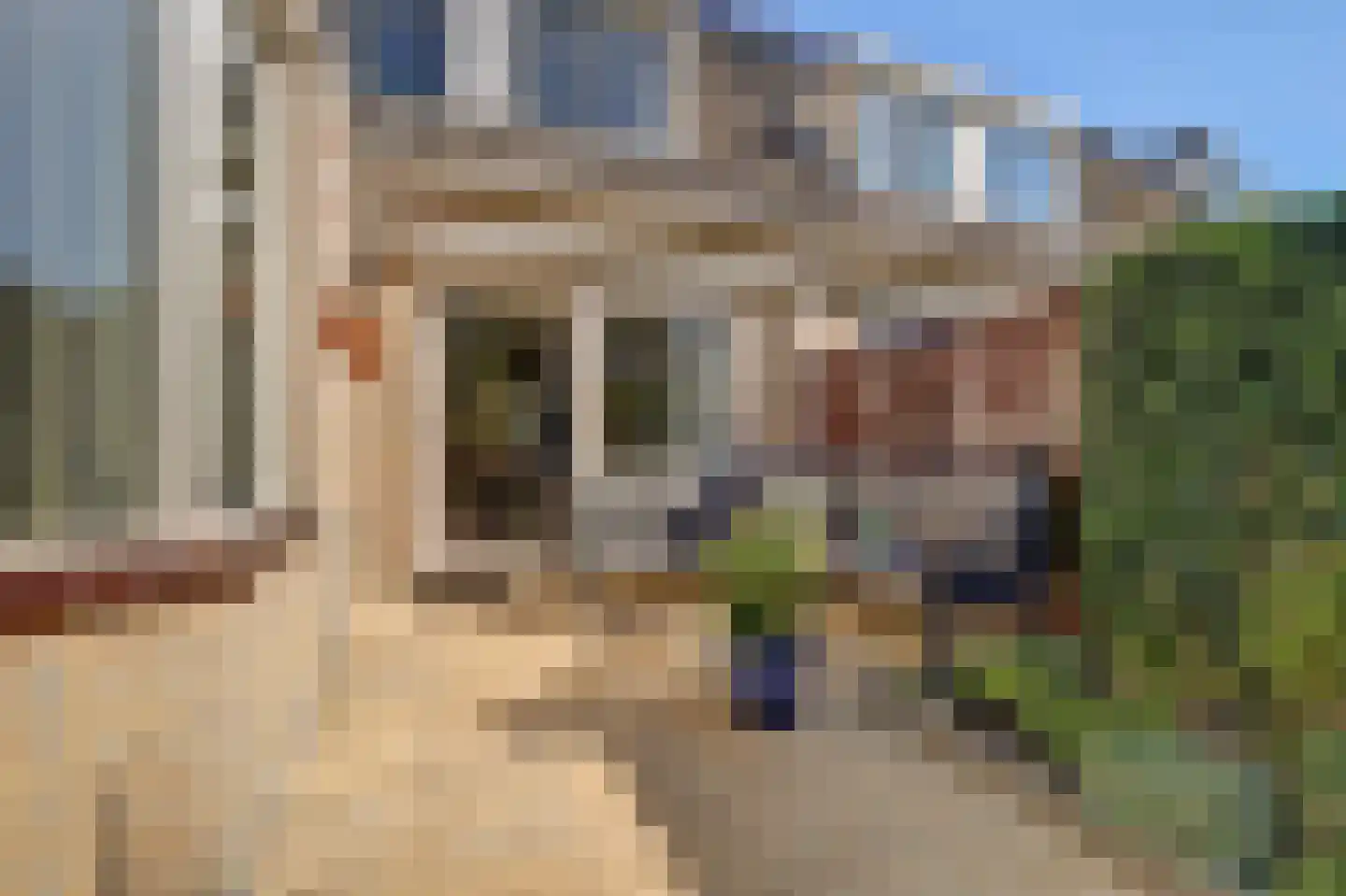 Binnenpolderweg 14 Gouda thumbnail 43