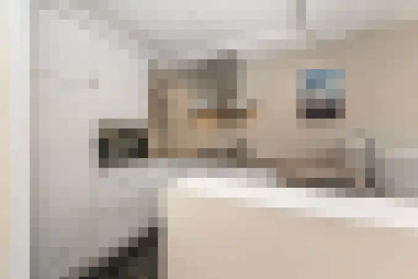 Binnenpolderweg 15 Gouda thumbnail 10