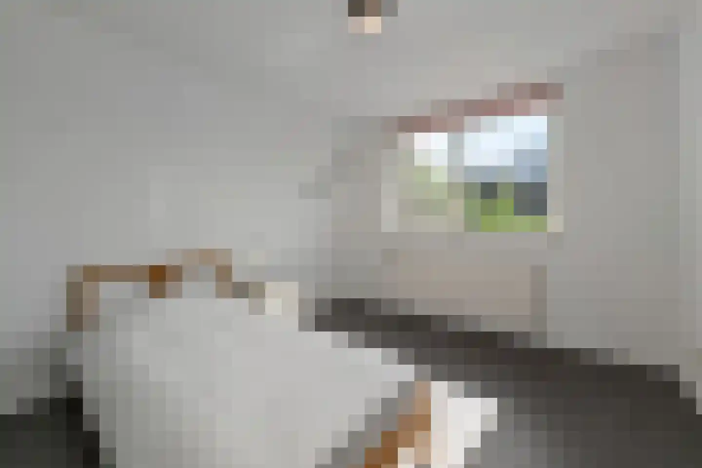 Binnenpolderweg 15 Gouda thumbnail 17
