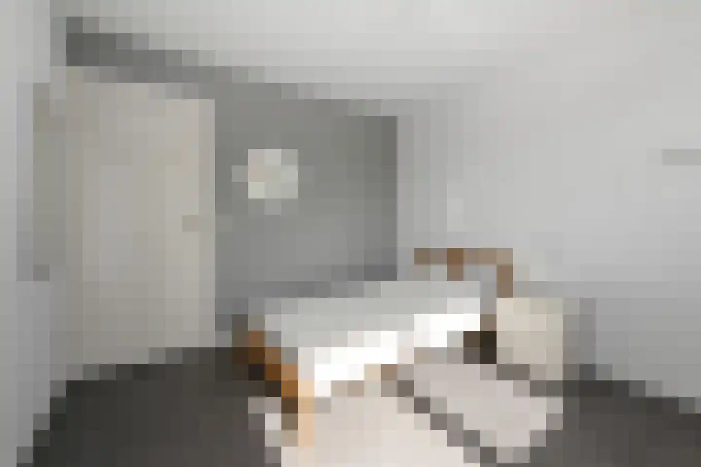 Binnenpolderweg 15 Gouda thumbnail 18