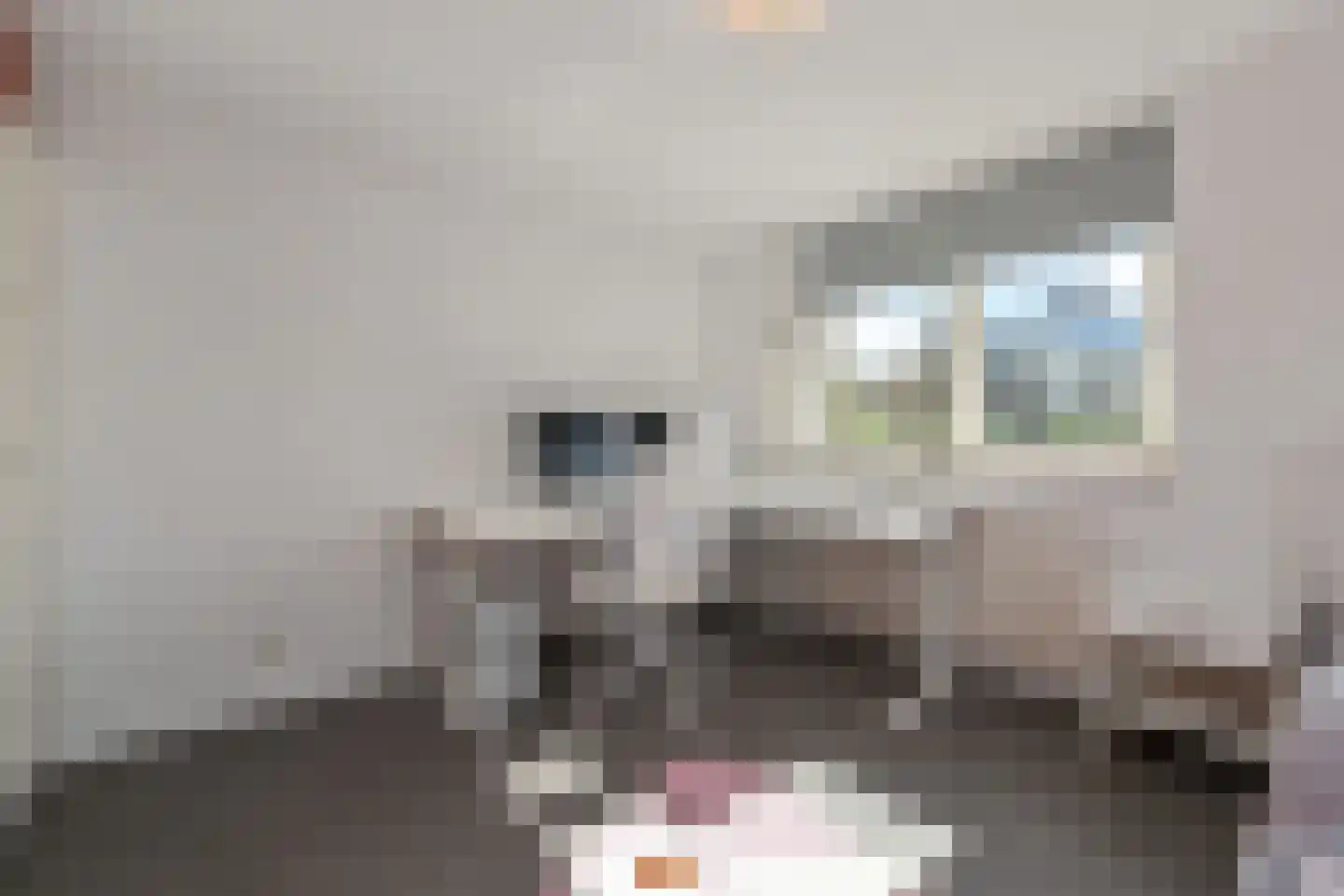 Binnenpolderweg 15 Gouda thumbnail 23