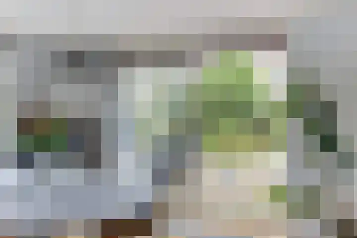 Binnenpolderweg 30 Gouda thumbnail 12