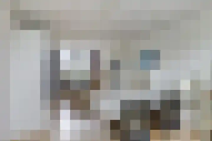 Binnenpolderweg 30 Gouda thumbnail 34