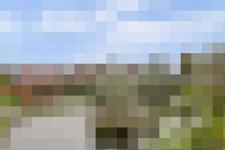 Binnenpolderweg 30 Gouda thumbnail 37
