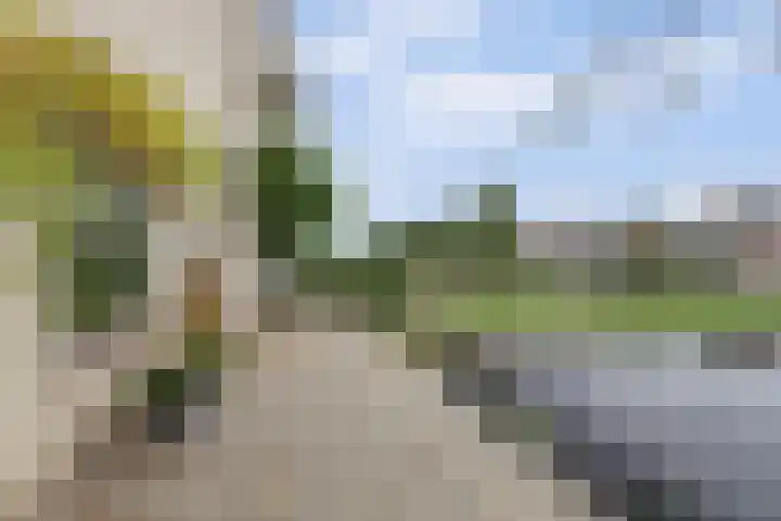 Binnenpolderweg 30 Gouda thumbnail 40