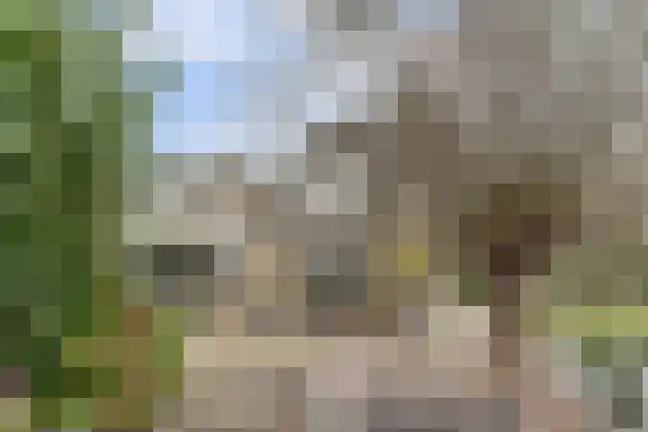 Binnenpolderweg 30 Gouda thumbnail 42