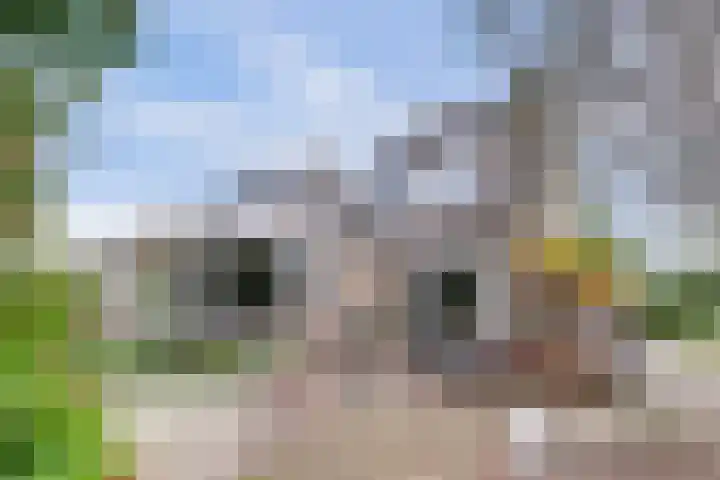 Binnenpolderweg 30 Gouda thumbnail 43