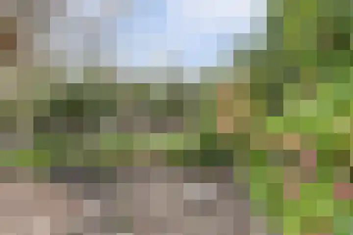 Binnenpolderweg 30 Gouda thumbnail 44