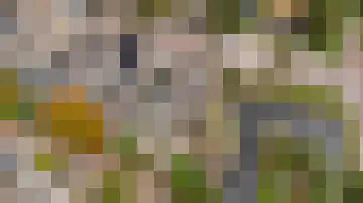 Binnenpolderweg 30 Gouda thumbnail 46