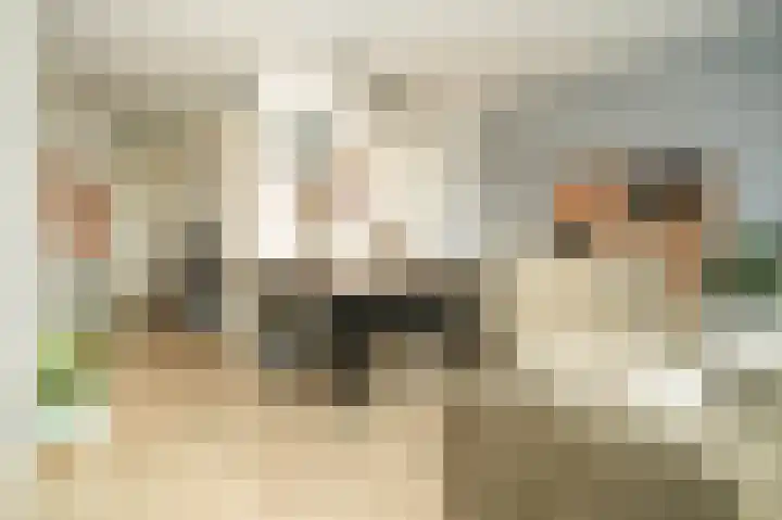 Binnenquartier 20 Kerkdriel thumbnail 11