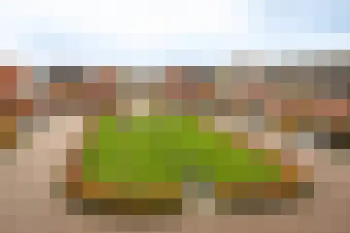 Binnenquartier 20 Kerkdriel thumbnail 19