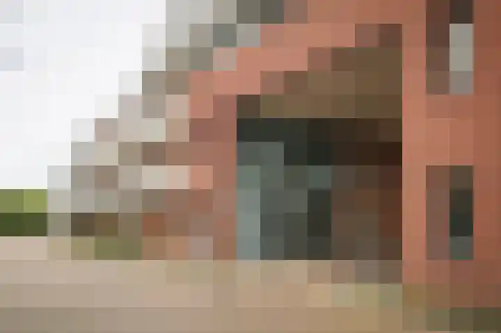 Binnenquartier 20 Kerkdriel thumbnail 22