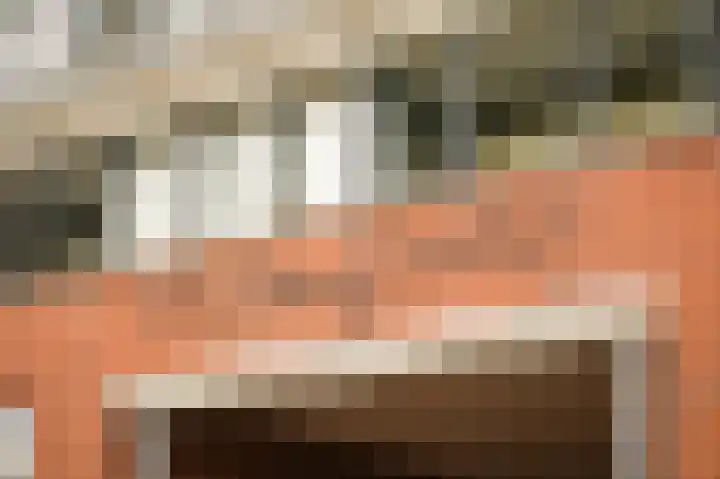 Binnenquartier 20 Kerkdriel thumbnail 26