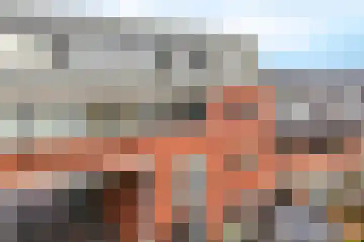 Binnenquartier 20 Kerkdriel thumbnail 28