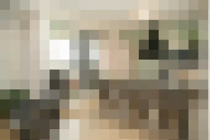 Binnenquartier 20 Kerkdriel thumbnail 4