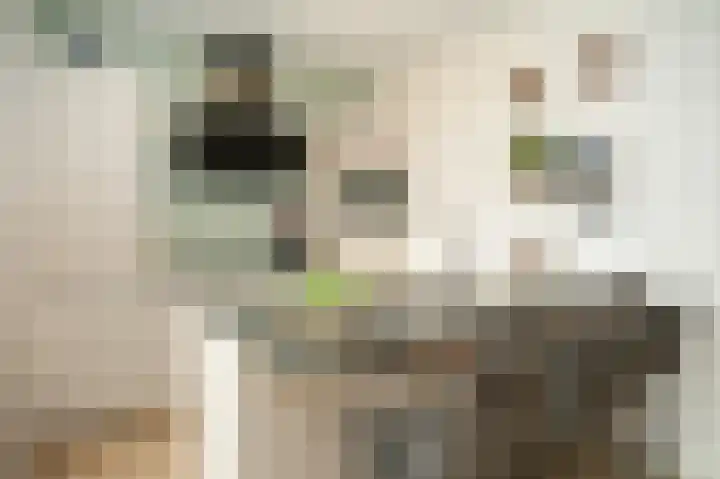 Binnenquartier 20 Kerkdriel thumbnail 5