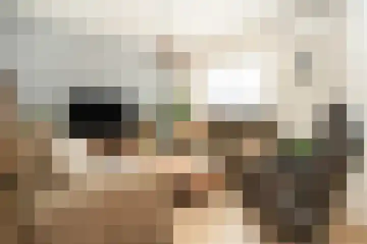 Binnenquartier 20 Kerkdriel thumbnail 7