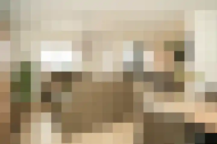 Binnenquartier 20 Kerkdriel thumbnail 8