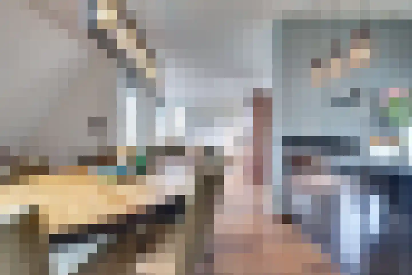 Binnenquartier 25 Kerkdriel thumbnail 13