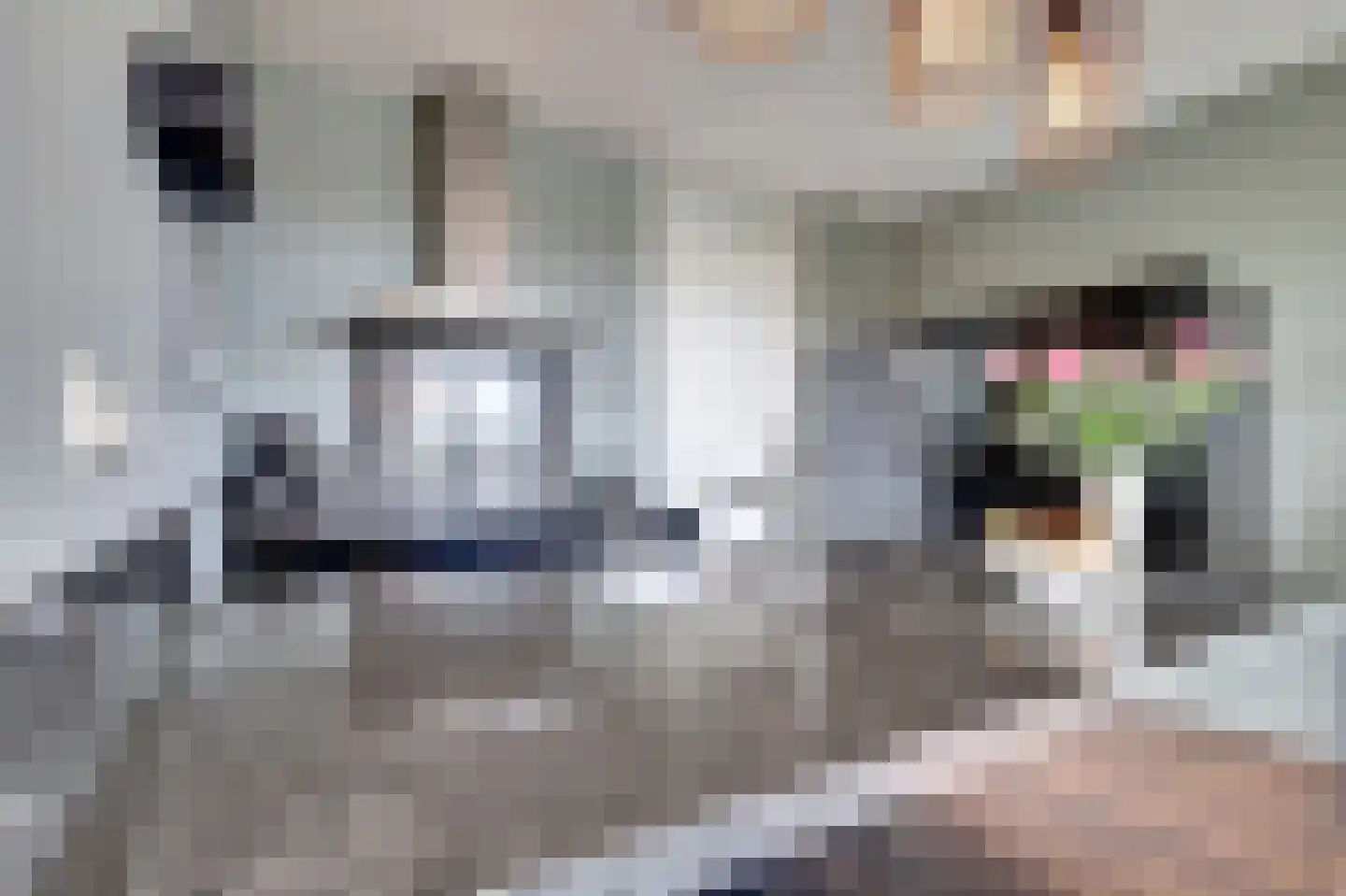 Binnenquartier 25 Kerkdriel thumbnail 17