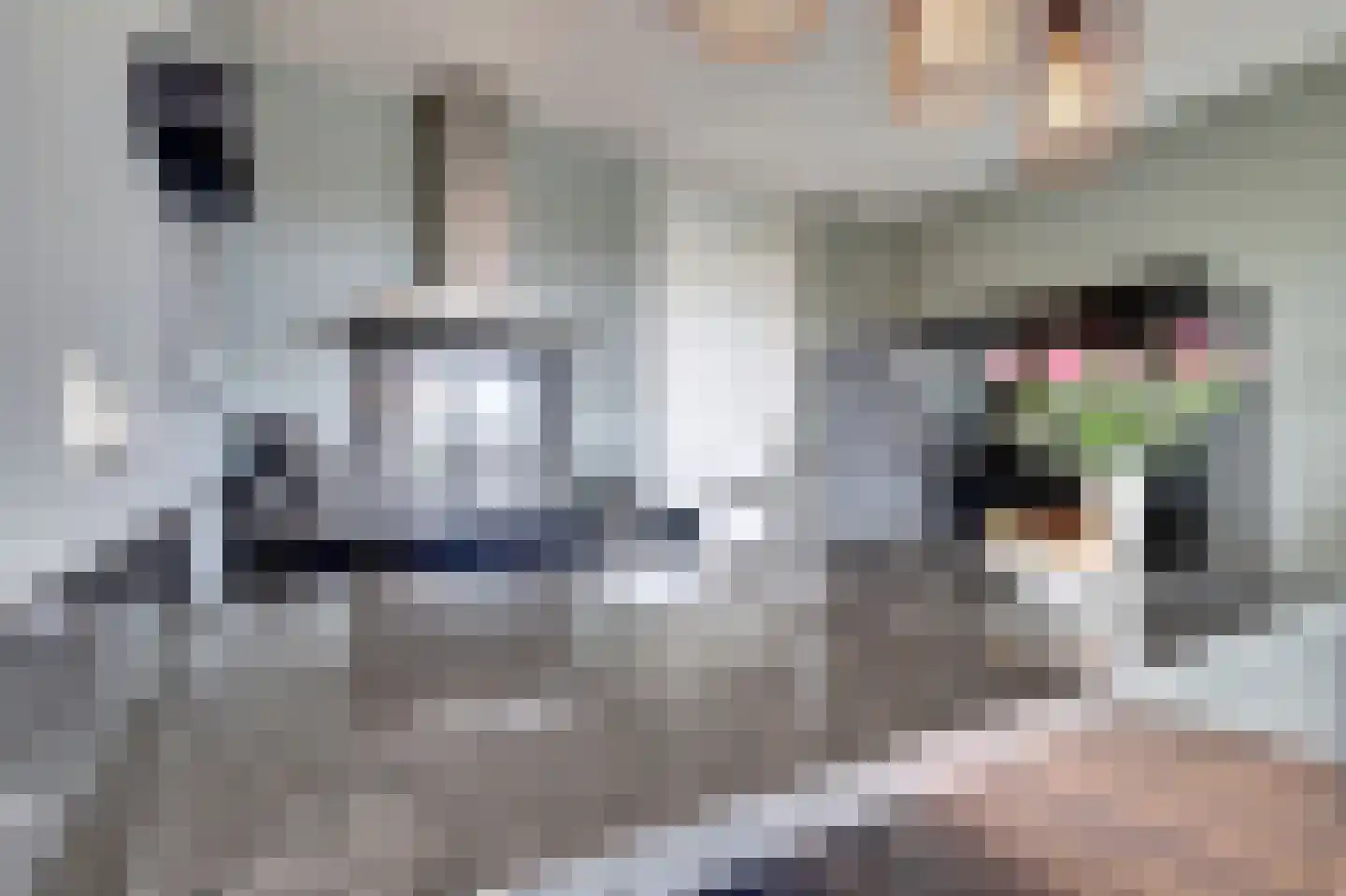 Binnenquartier 25 Kerkdriel thumbnail 18
