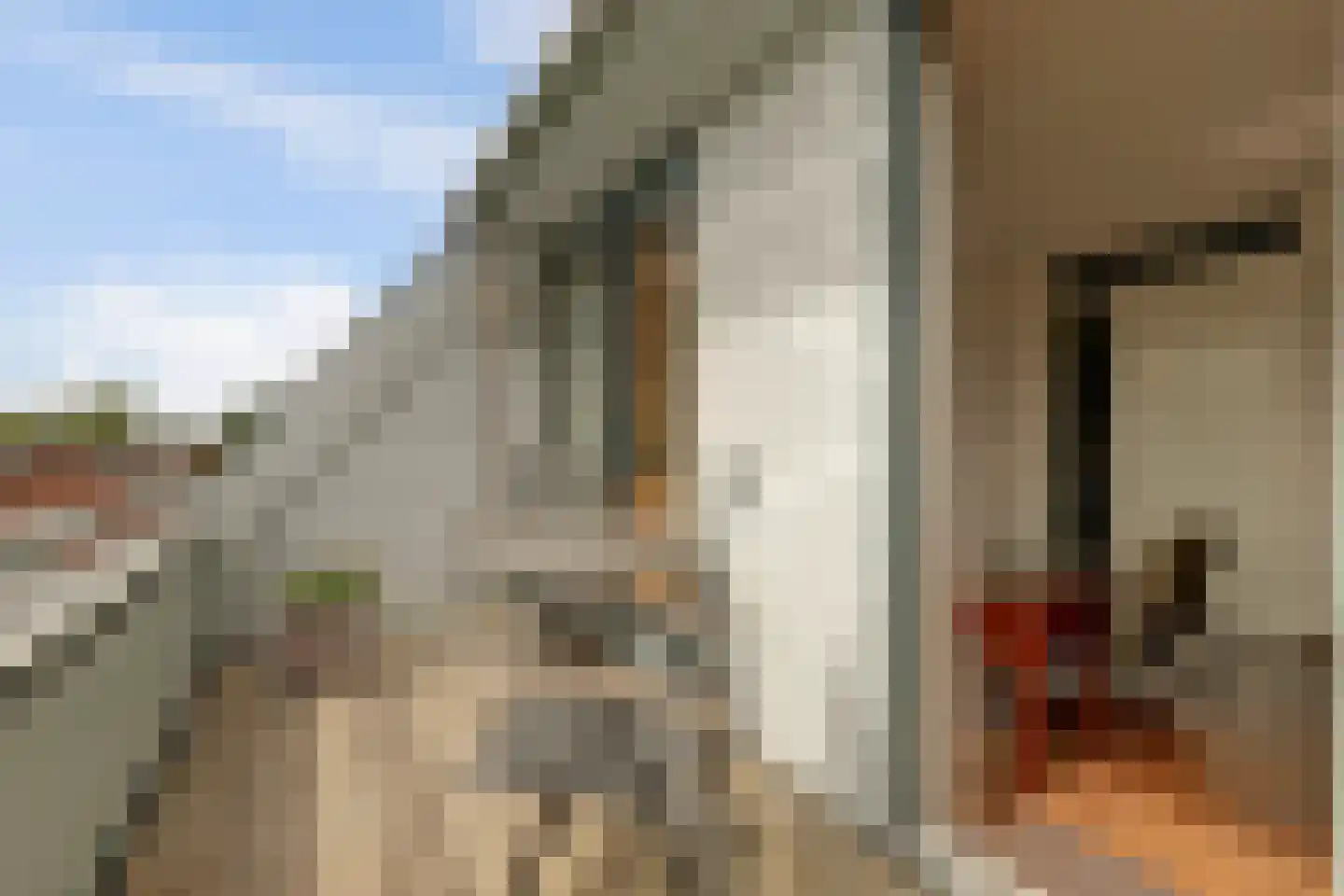 Binnenquartier 25 Kerkdriel thumbnail 19